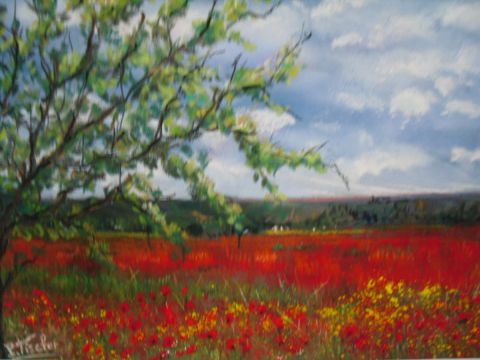 Coquelicots